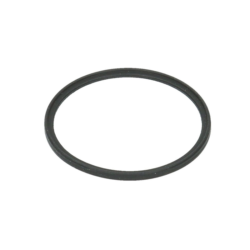 Dichtung für Führung am Druckzylinder der Krups EA / XP Modelle