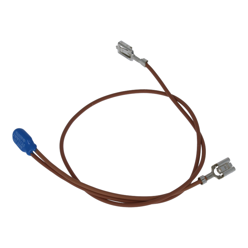 Übertemperaturschutz zu Pumpe für DeLonghi ECAM / ESAM / ETAM
