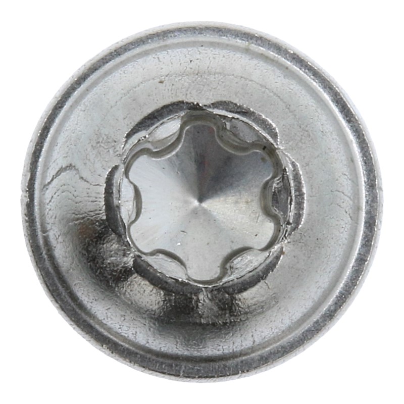Schraube (T10 / 3x10mm) für Keramikventil, Antrieb und Erhitzeranschlüsse