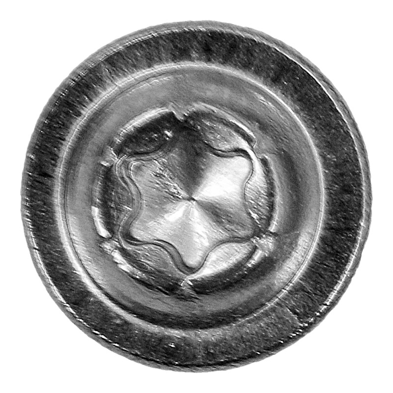 Schraube (T10 / 3,5x12mm) für Saeco / Philips / Gaggia Kaffeevollautomaten