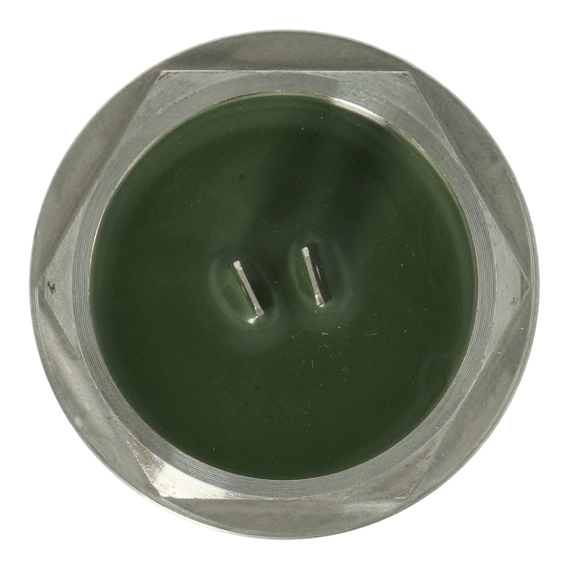 Heizung (V2 / 1400W / 230V / 1-1/4" / Original)
