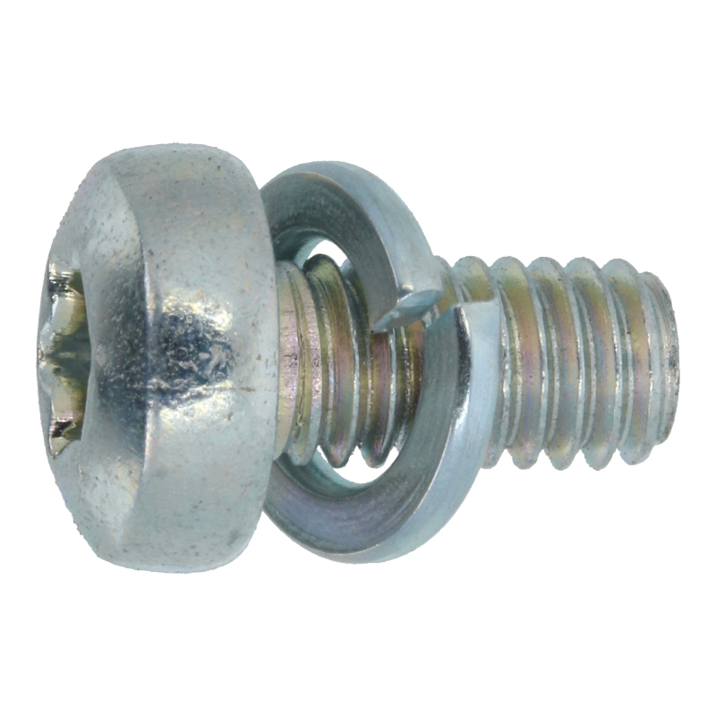 Schraube (T20 / M4x8mm)