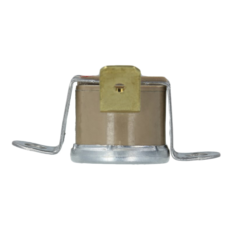 Thermostat (100°C / mit Klammer) für Rancilio Miss Silvia Espressomaschinen