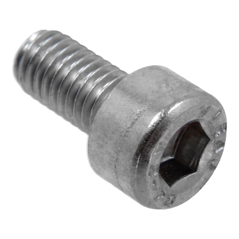 Schraube (M5x10mm)