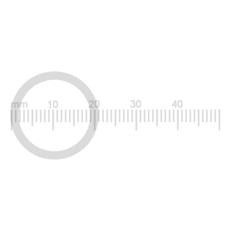 Teflondichtung (AD21xID17xH2mm) für Gelenkmutter & Adapter