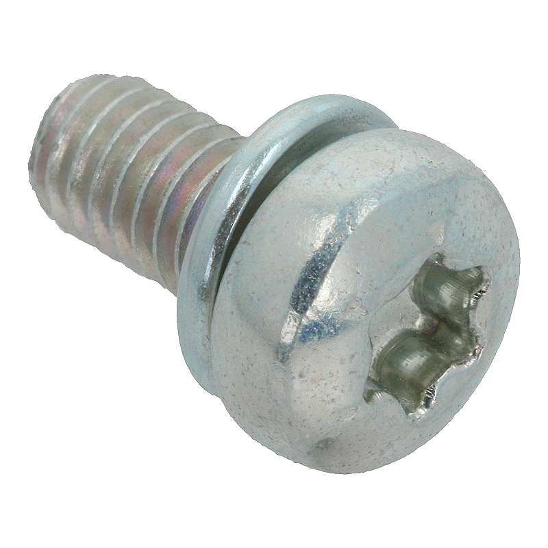 Schraube (T20 / M4x8mm)
