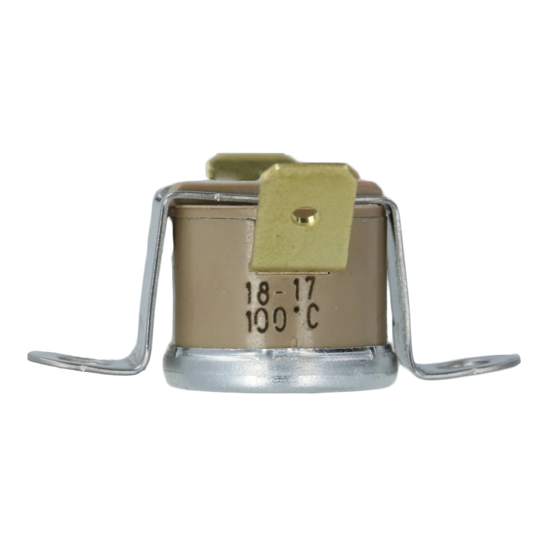Thermostat (100°C / mit Klammer) für Rancilio Miss Silvia Espressomaschinen