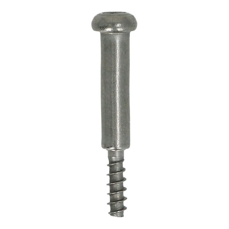 Schraube (T15 / 3x16mm) für Saeco / Philips Kaffeevollautomaten