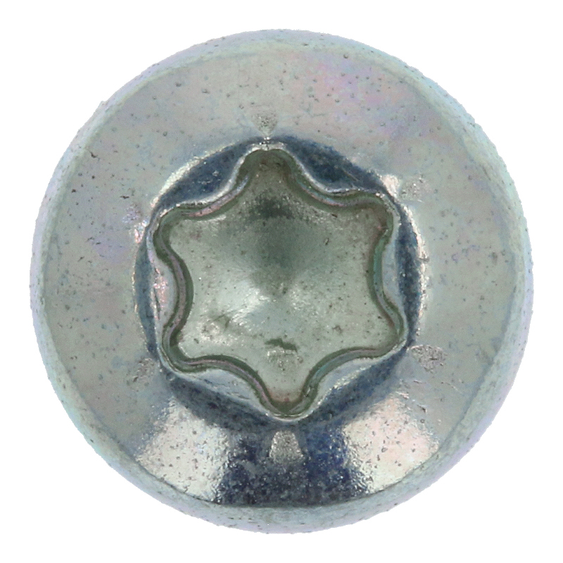 Schraube (T20 / M4x8mm)
