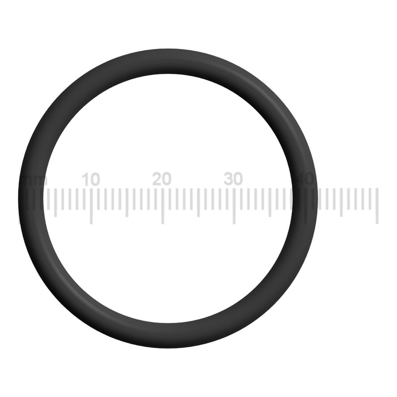 Dichtung / O-Ring für den unteren Kolben der Brüheinheit